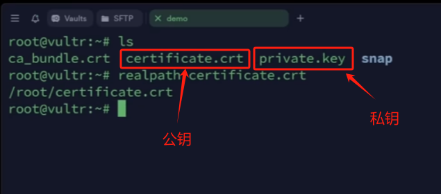 使用 HTTPS 为 x-ui 面板增加安全防护插图19