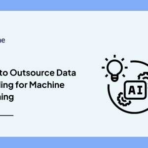 Outsource Data Labeling for Machine Learning