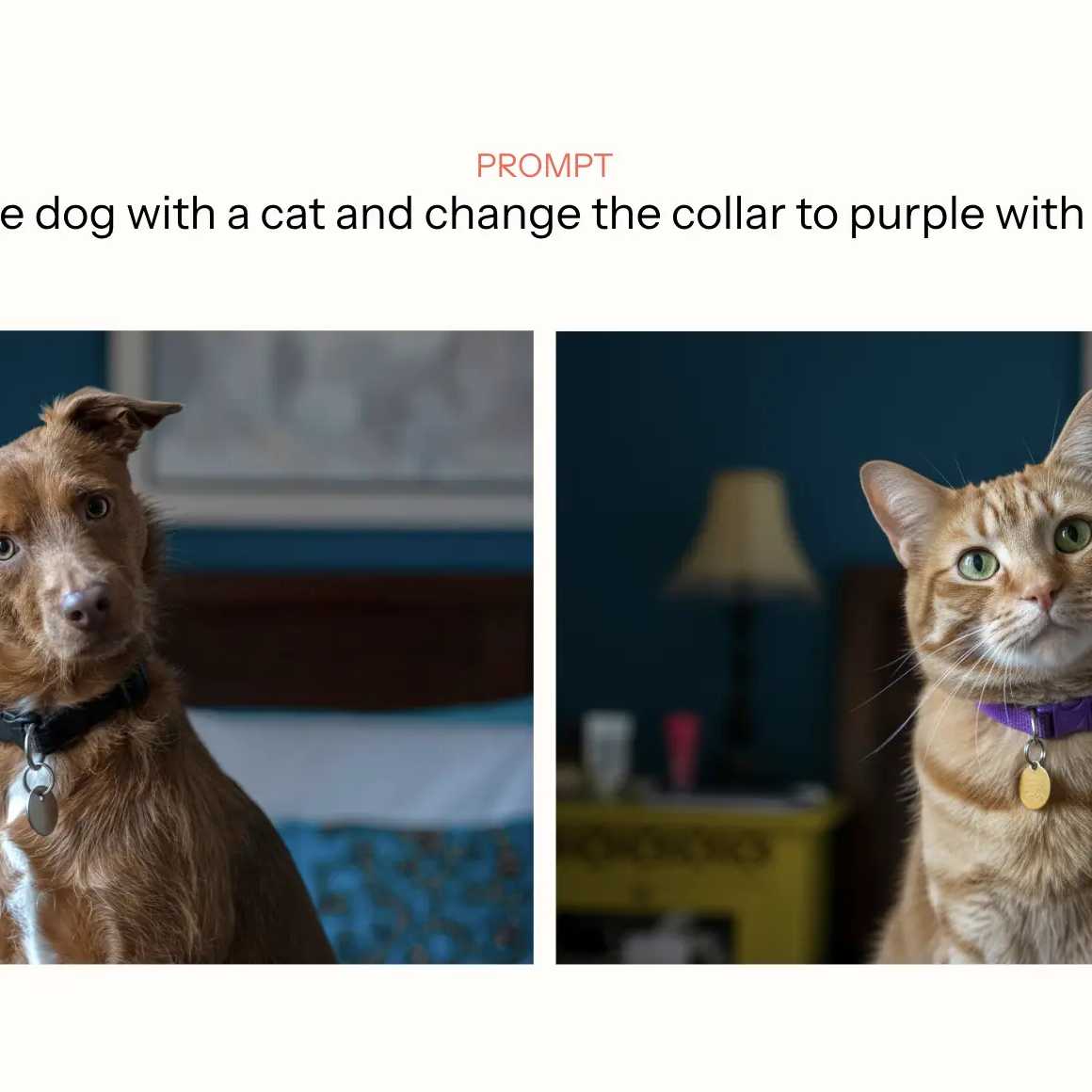 左右对比图：左图为一只佩戴黑色项圈的狗，右图为一只佩戴紫色项圈和金色吊牌的猫。